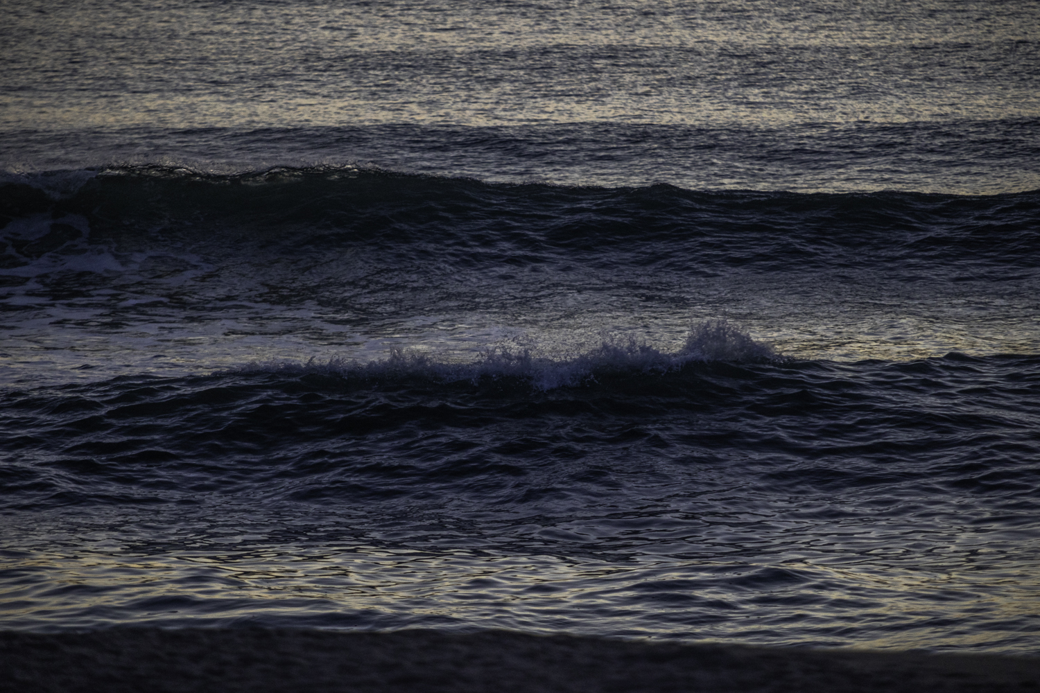 tnf100korea
tnf100gangwon
노스페이스 트레일러닝대회
선자령 트레일러닝