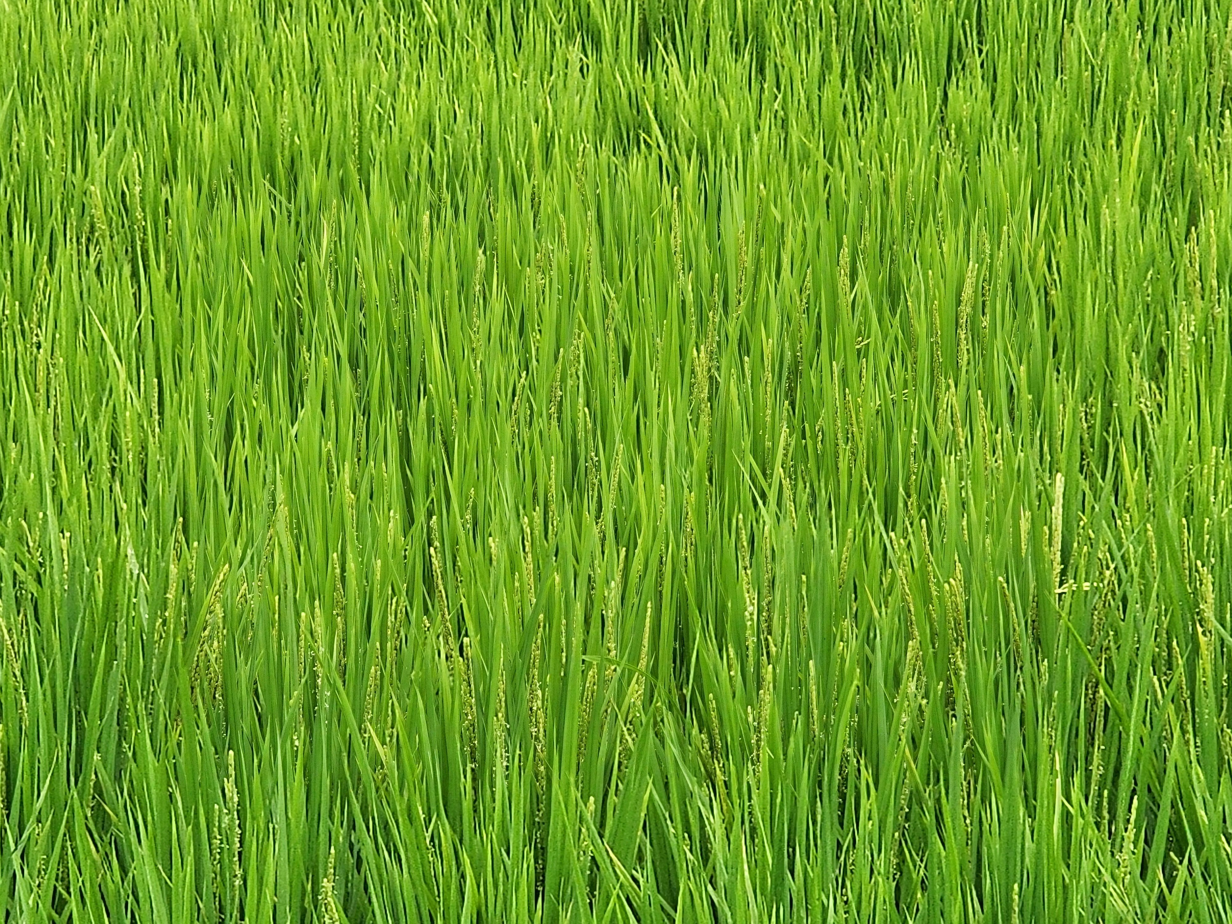 Alt 속성 문제 해결 설명 이미지