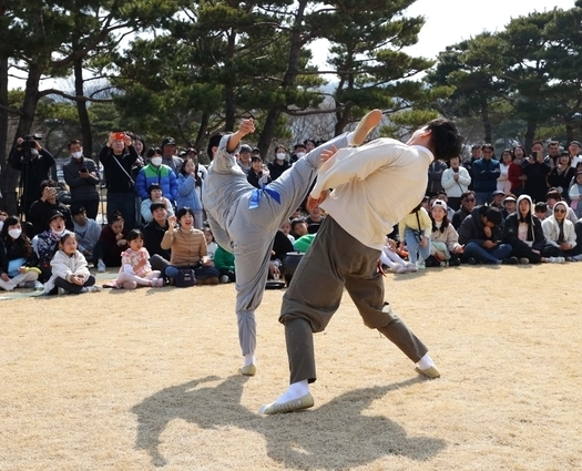 택견 기술 견주기