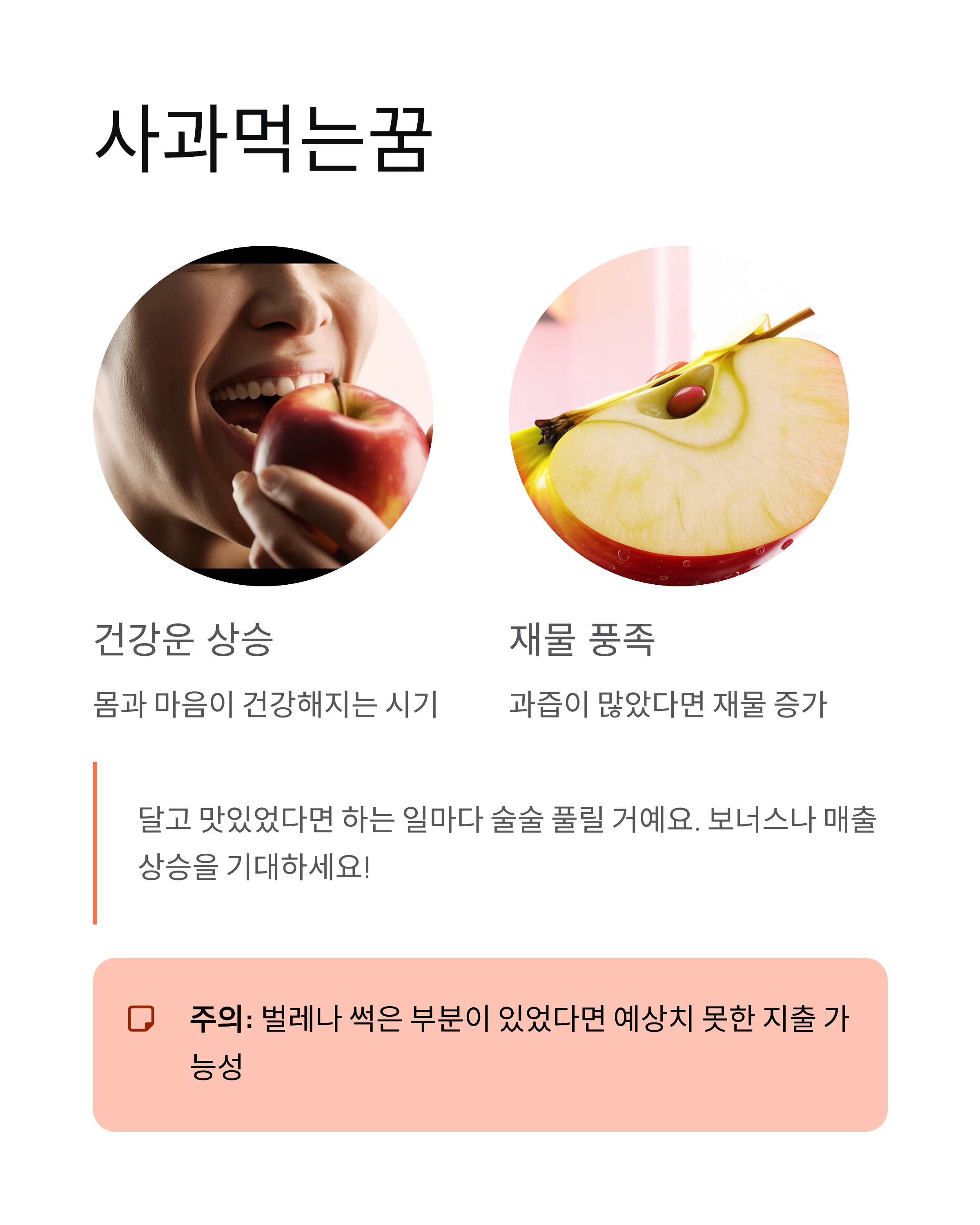 사과꿈 해몽 ❘ 빨간사과·사과먹는꿈·사과따는꿈 의미 (대박 길몽?)