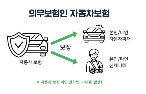 자동차보험-특징