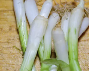 멜라토닌 많은 음식 36