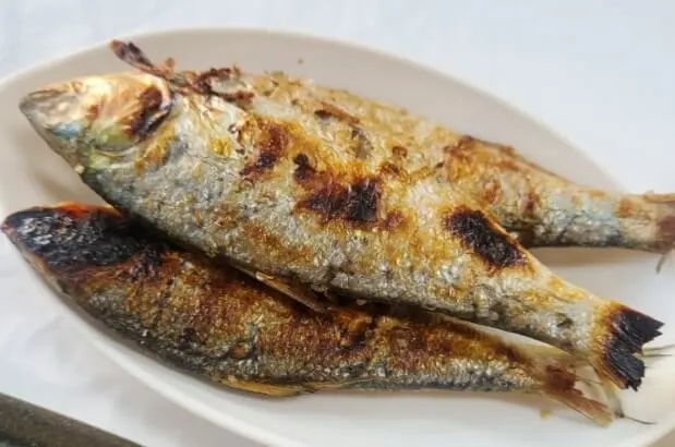 담남항대하축제_전어구이