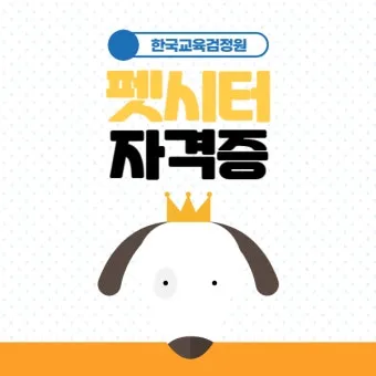 펫시터자격 교육과정 활동영역 창업준비 시니어 돌봄 일거리 찾기_8