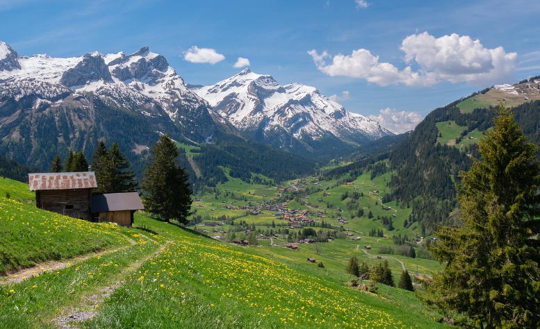 스위스 소도시 그린델발트 관련 사진