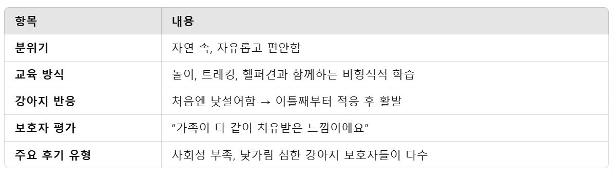 홍천 &lsquo;멍멍스쿨&rsquo; 후기 분석 표