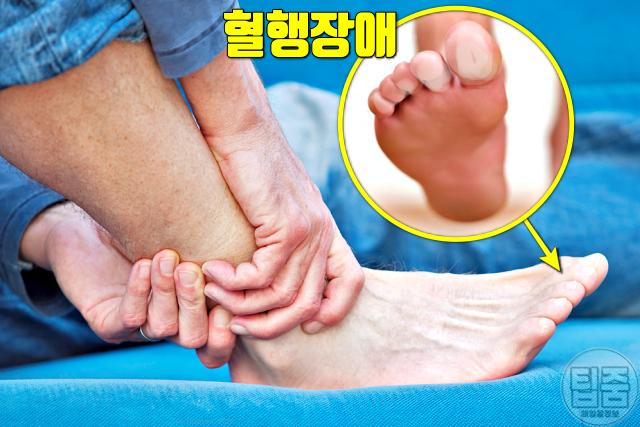 달래 효능 혈행장애 봄나물 제철