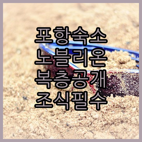 포항 여행 숙소 순위 5곳 노블리온 ..