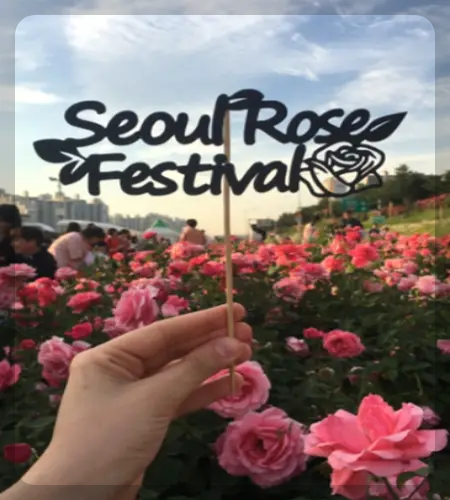 중랑 서울 장미축제_2