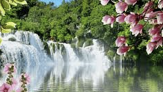 ENFJ 유형 특징 분석