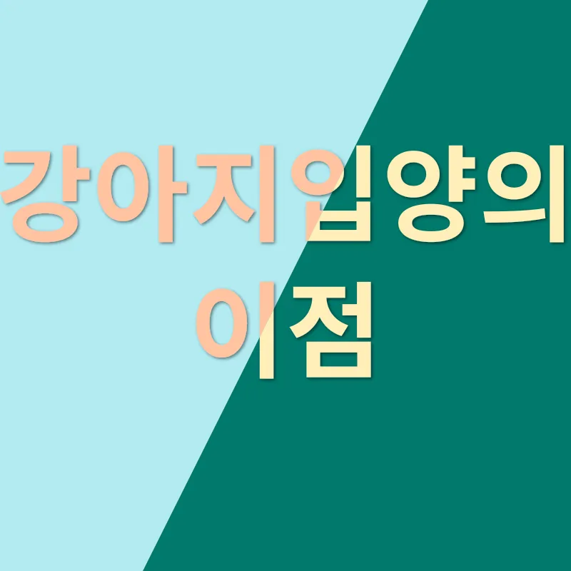 키우는 동물로서의 도마뱀_3