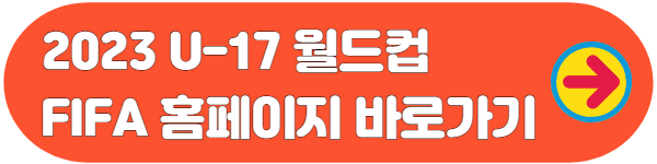 2023 U-17 월드컵