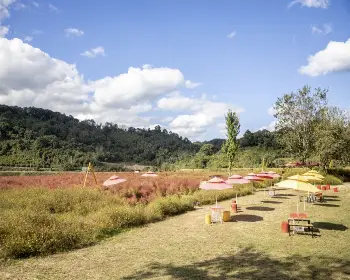 임진강 댑싸리공원_5