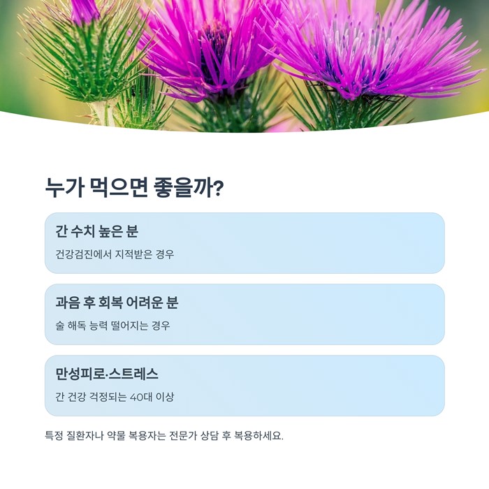 밀크씨슬 효과와 권장량, 복용 시 주의할 점 5가지 요약 이미지