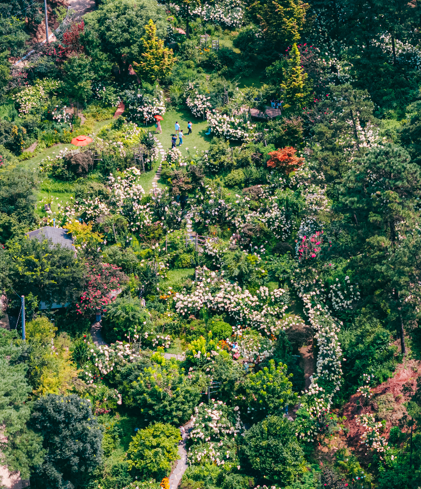 특색있고 아름다운 민간 정원 30선 추천 여행 - 22. 담양 죽화경