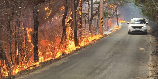 의성 산불 원인8