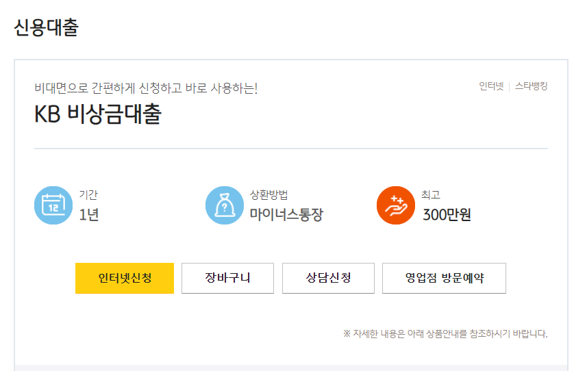 비상금대출 국민은행