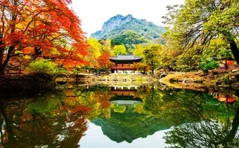 백양사 단풍절정시기, 등산코스, 맛집, 고불매, 단풍축제 일정, 템플스테이_37