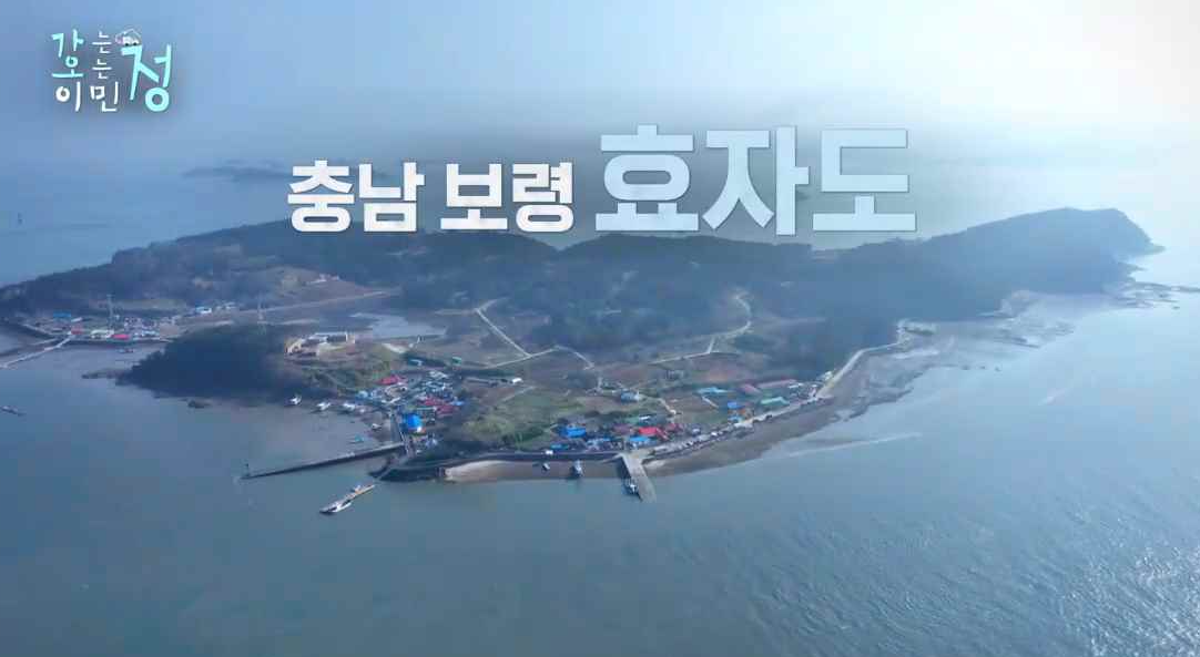 상공에서 내려다 본 충남 보령 효자도 전경 사진