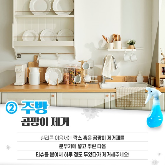옷, 거실, 방, 화장실, 주방, 욕실, 에어컨 등 곰팡이 제거하는 5가지 방법