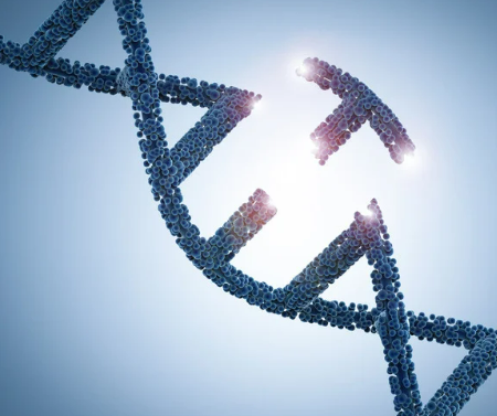 강아지 사람 좋아하는 이유&amp;#44; 유전자 변형 때문이라고?!