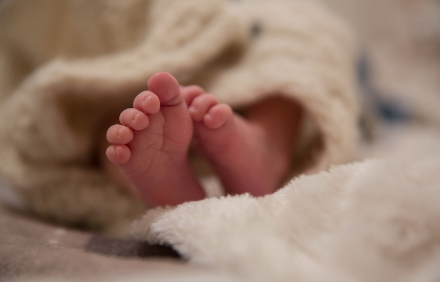 부모급여 관련 사진