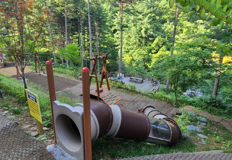 강씨봉 자연휴양림