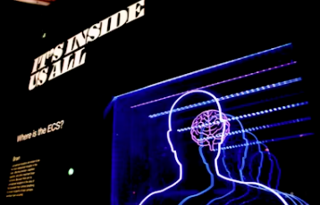 치매 초기증상 8가지