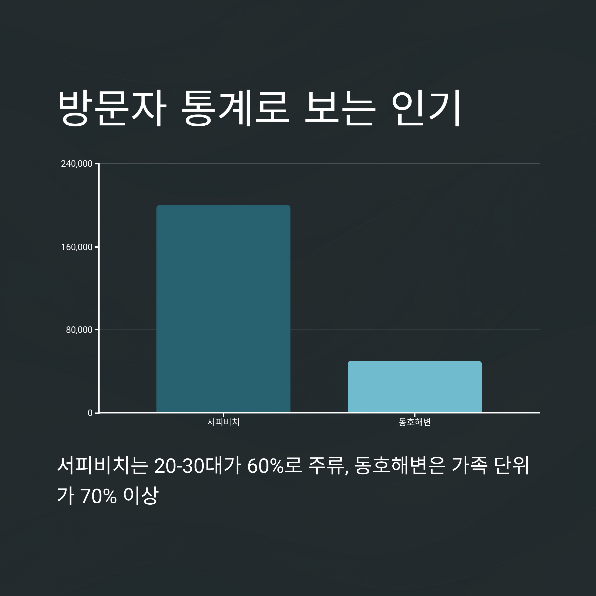 방문자 통계로 보는 인기