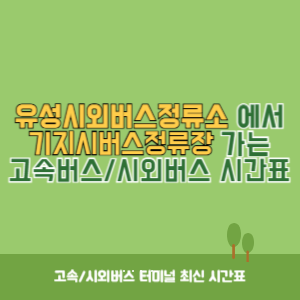 유성시외버스정류소에서 기지시버스정류장 가는 시외버스 시간표 최신정보