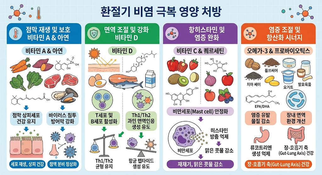 환절기 비염 극복을 돕는 비타민 A, C, D, 아연, 퀘르세틴, 오메가3의 점막 재생과 항염 기전 안내