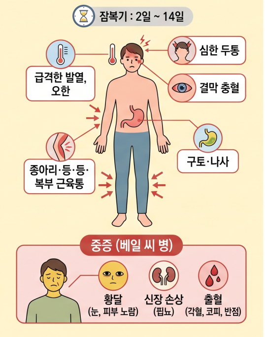 렙토스피라증