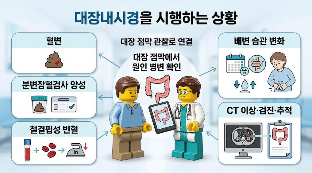 혈변, 분변잠혈검사 양성, 철결핍성 빈혈, 배변 습관 변화, CT 이상 등 대장내시경을 시행하는 주요 상황을 안내하는 인포그래픽