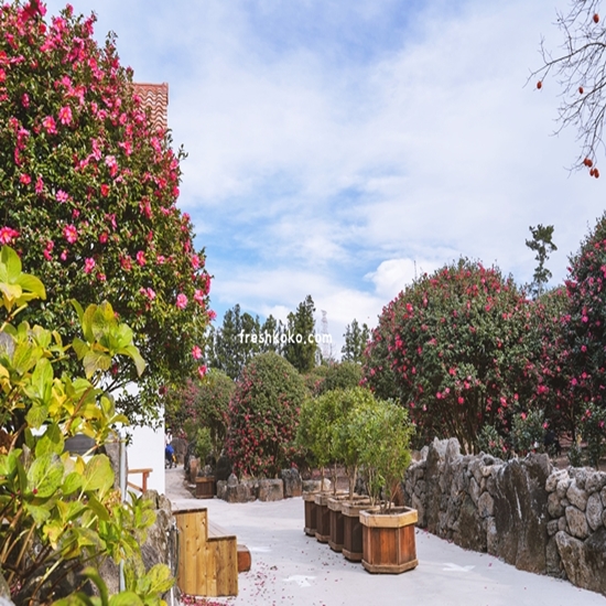 11월제주도 가볼만한곳 10곳