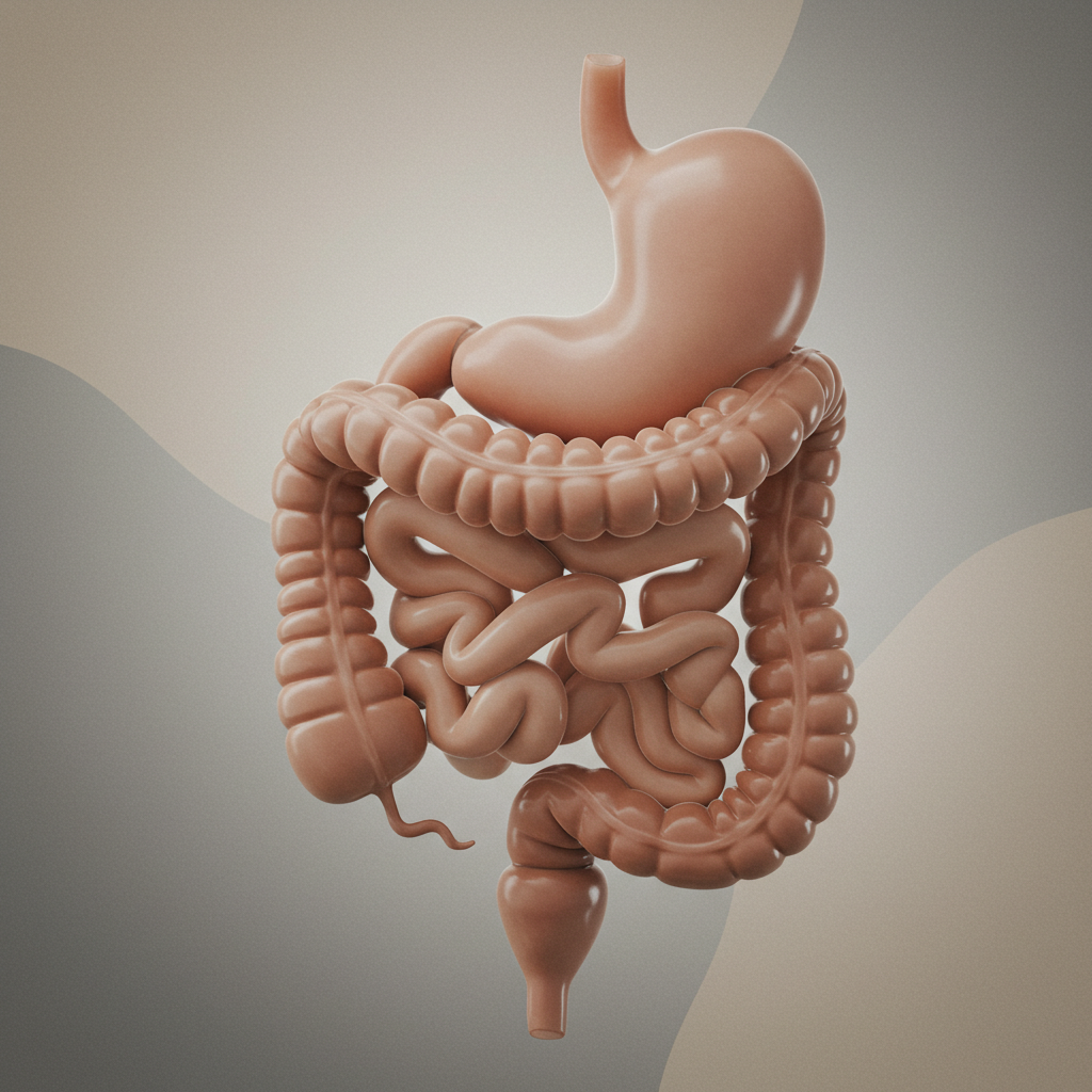 장염에 먹어도 되는 음식