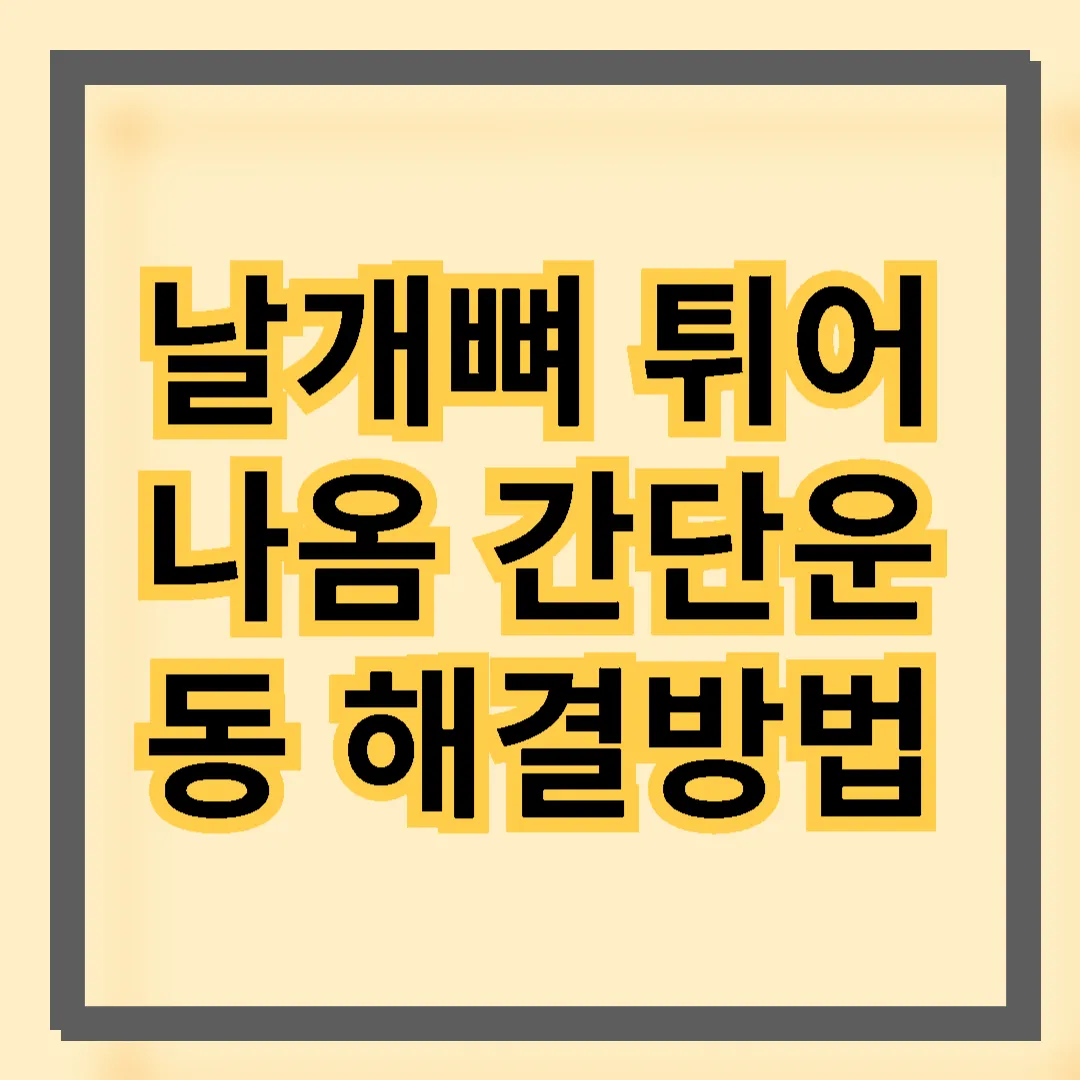 날개뼈 튀어나옴 증상 해결방안