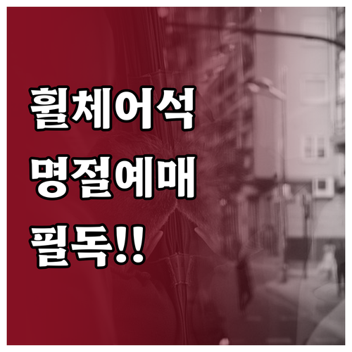 전동 수동 휠체어석 구분과 명절 기차..