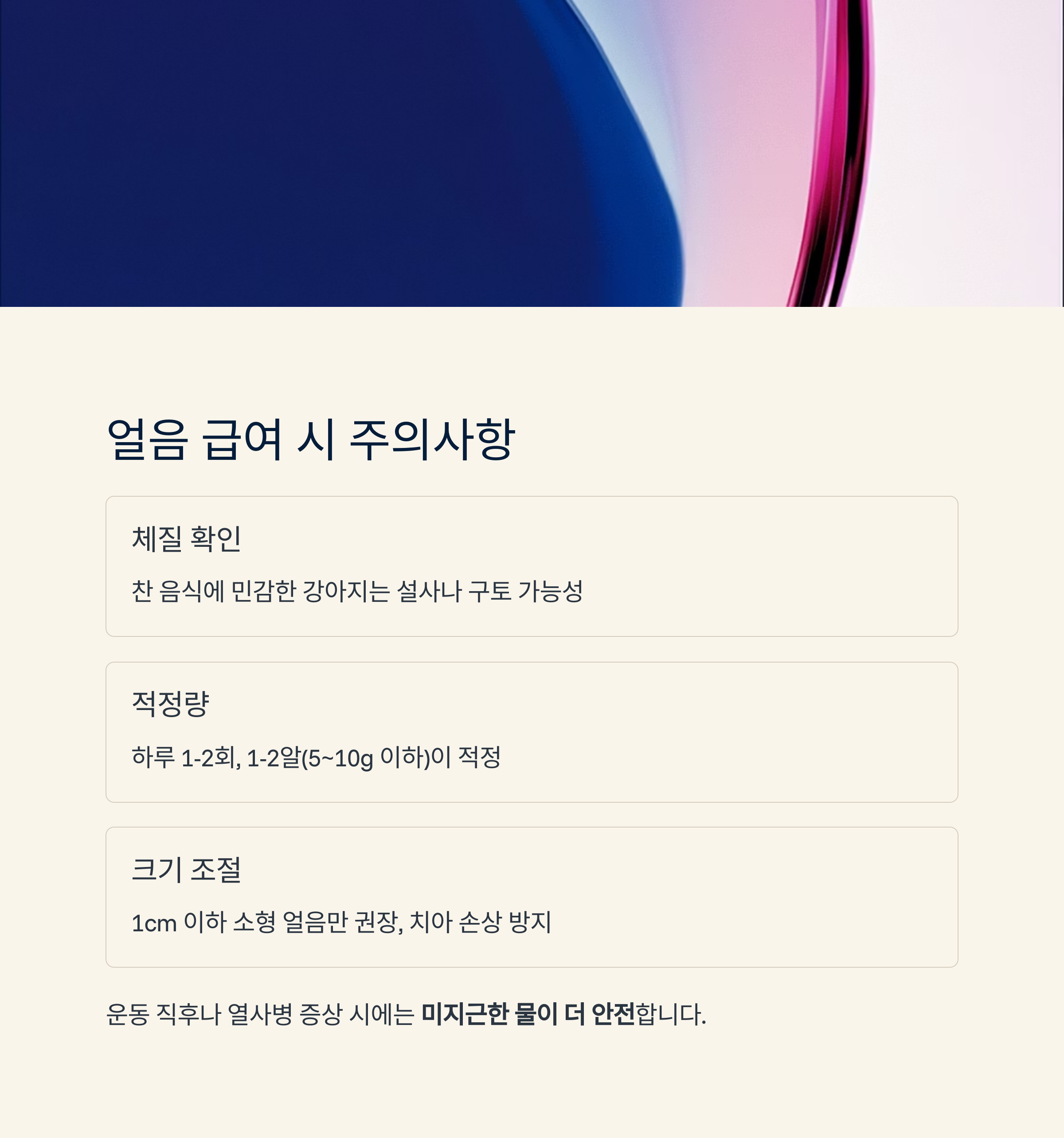 얼음 급여 시 주의사항