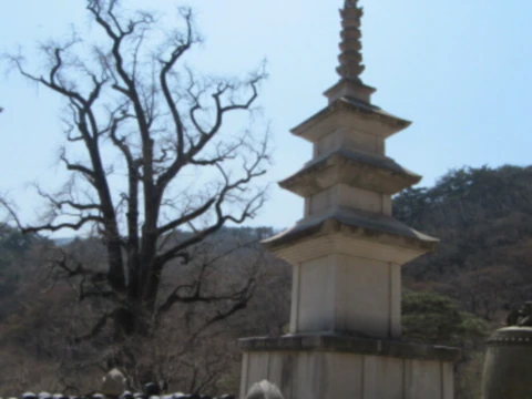 서울근교갈만한곳-용문사