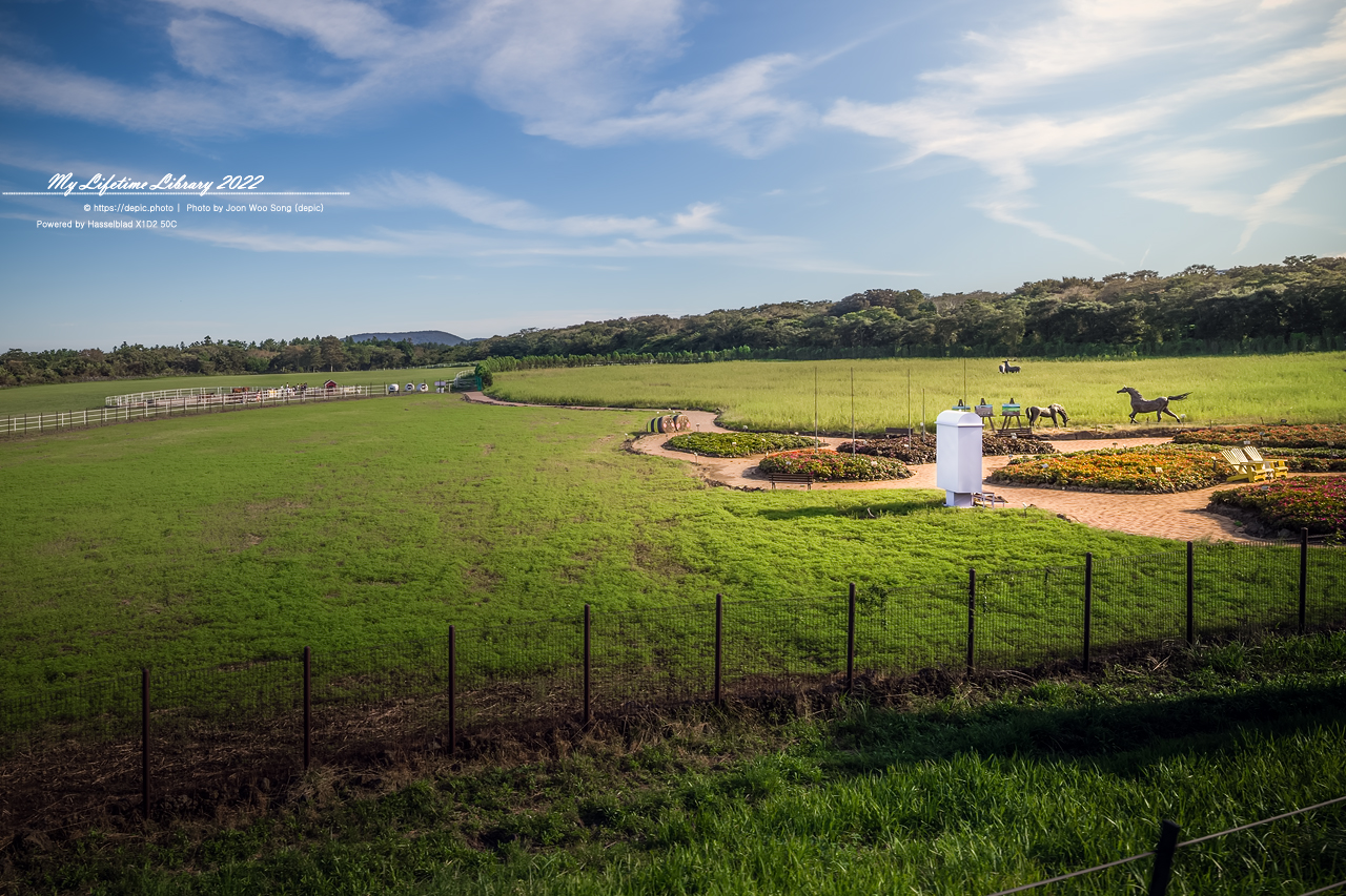 #제주 #에코랜드 #연못 #호수 #기차 #2022제주여행