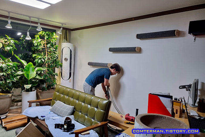 콘크리트 벽 캣워커 딱폴