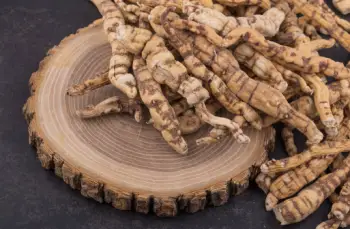 백수오 효능 및 영양성분&amp;#44; 주의점