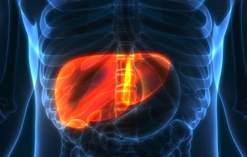 간이 나쁘면 나타나는 증상 5가지 - 간이 안좋은 이유