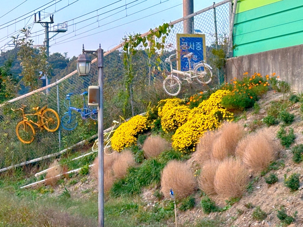 전주 레일바이크