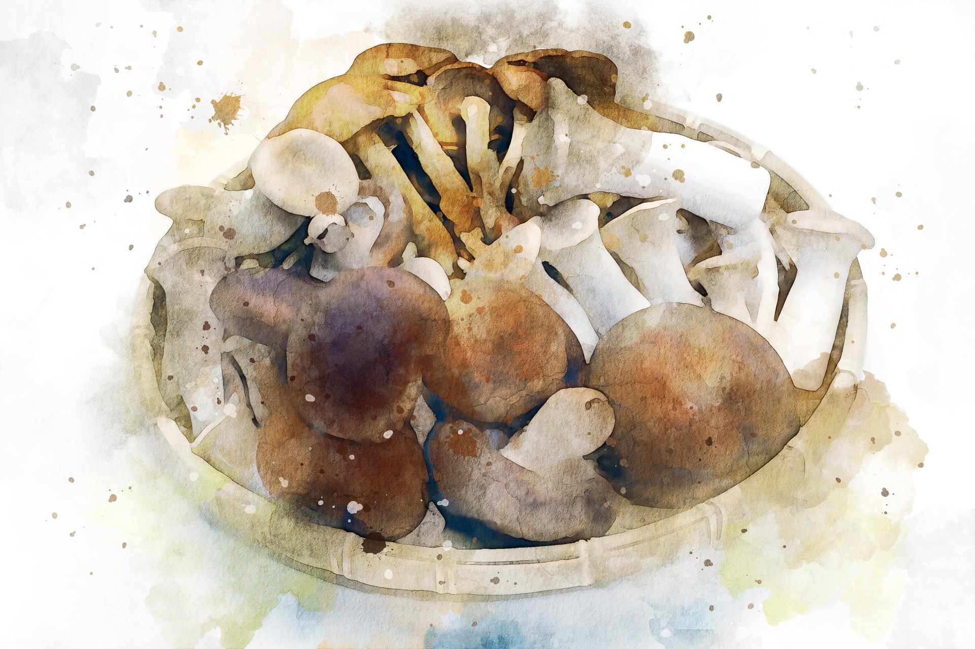 면역력 높이는 음식