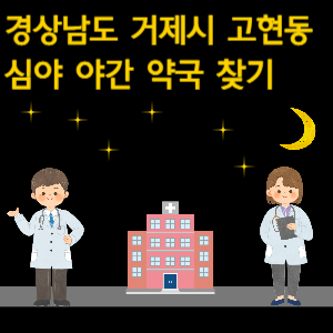 거제시 고현동 심야 야간 약국 찾기