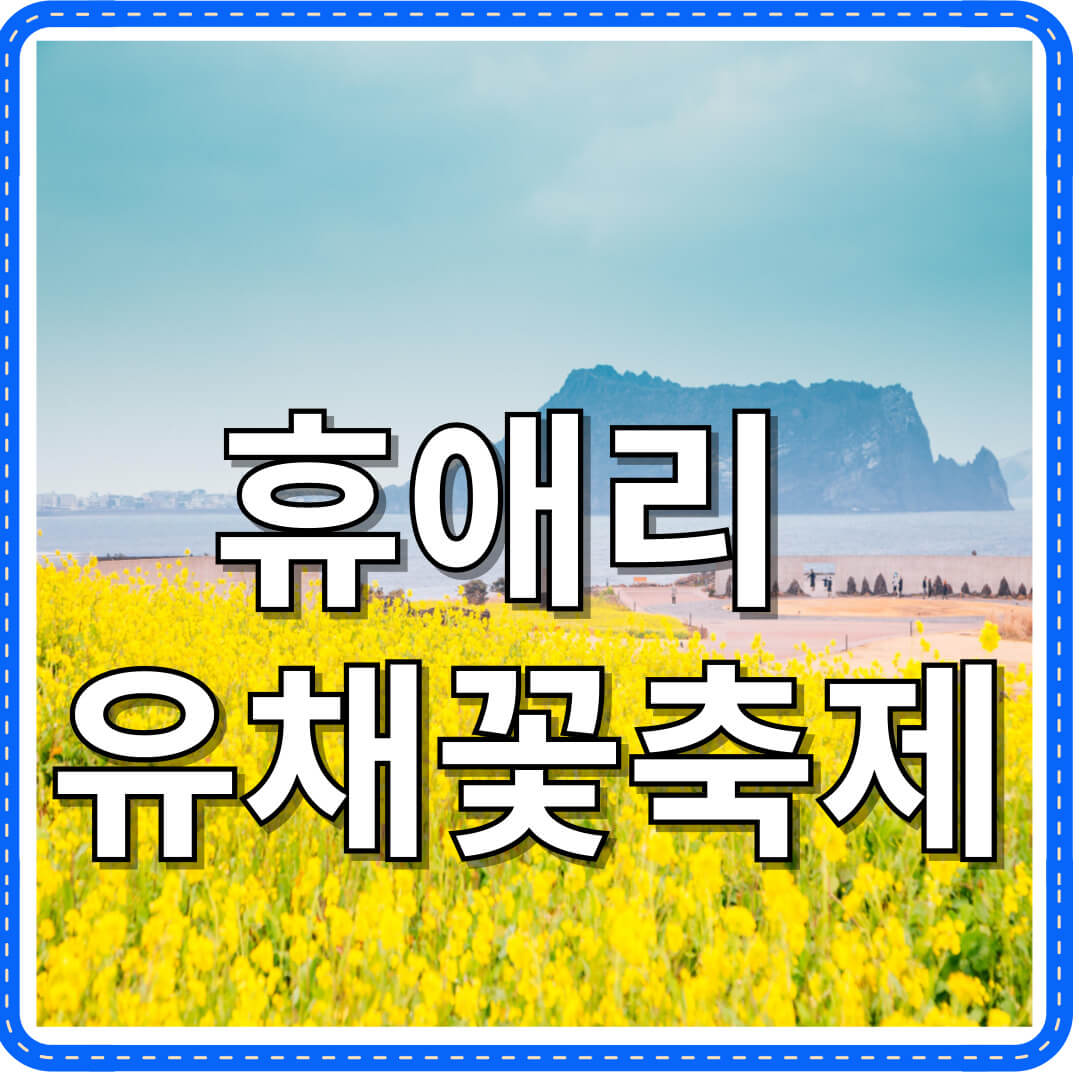2025 휴애리 유채꽃 축제 ❘ 제주에서 만나는 황금빛 유채꽃밭
