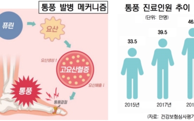 통풍 사진