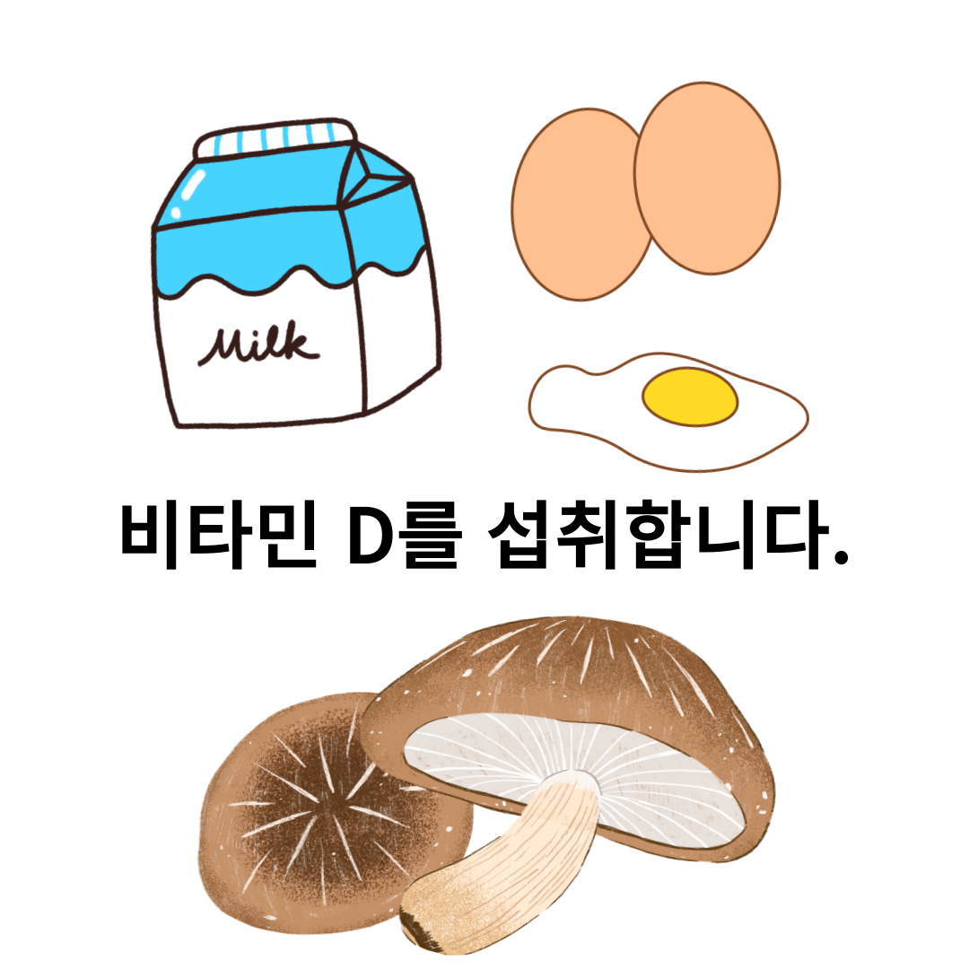 비타민 D 섭취