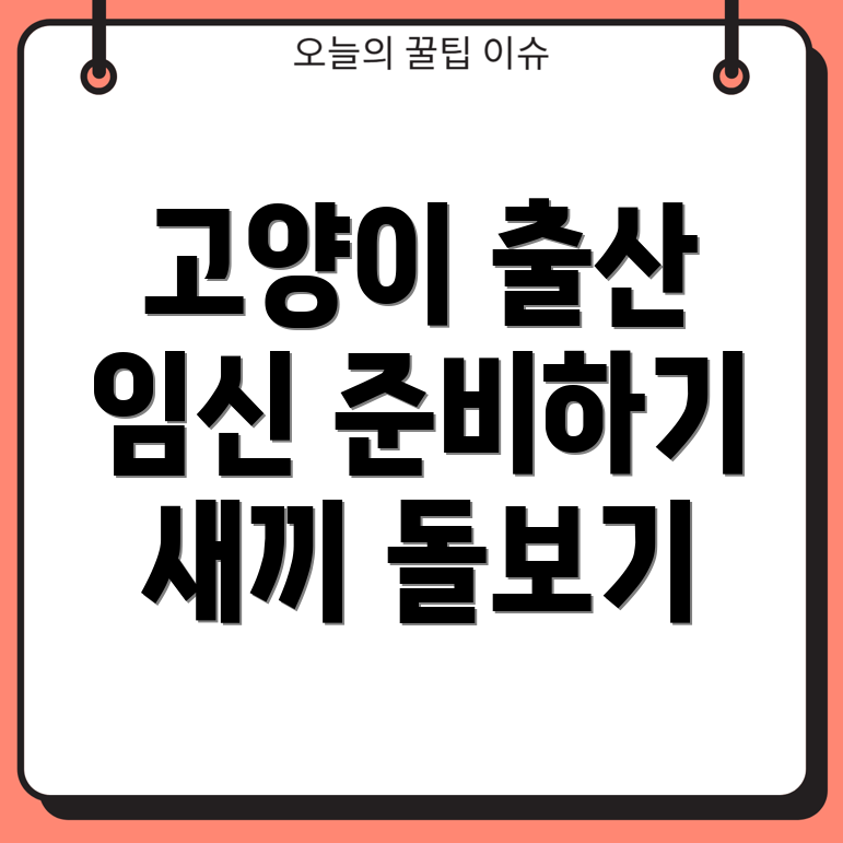 고양이 임신